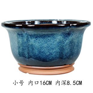 奢轻兰花盆柿老鸦夕盆建兰盆景鼠内门秦 竹春兰洪花瓣海紫砂釉