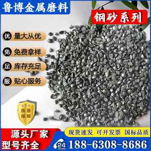 国标钢砂钢丸铁丸钢丝切丸 GH/GL/GP菱角砂轴承喷砂喷砂不锈钢丸