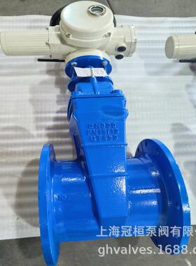弹性座封闸阀电动软密封兰闸Z阀 945X-18610Q DN法60 0