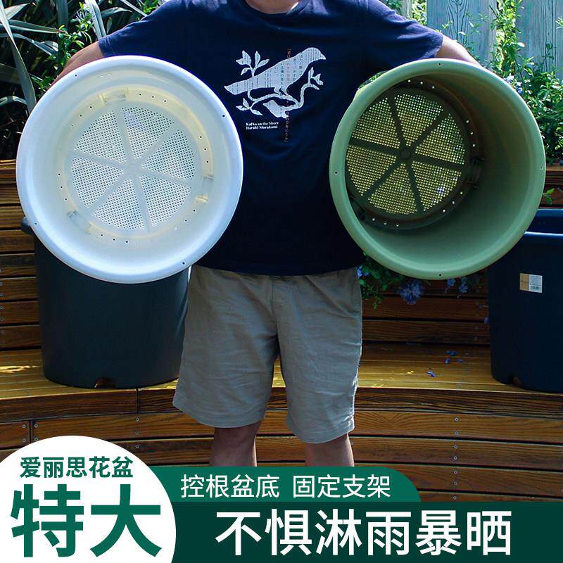 IRIS爱丽丝白色大加仑盆盆深型deepot花盆绣球月季控根树脂塑料