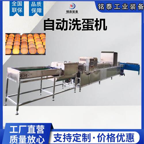 养鸡场洗蛋机 清鸡IBT蛋表面粪便粘液的清机鹌器 洗鹑蛋洗风干机