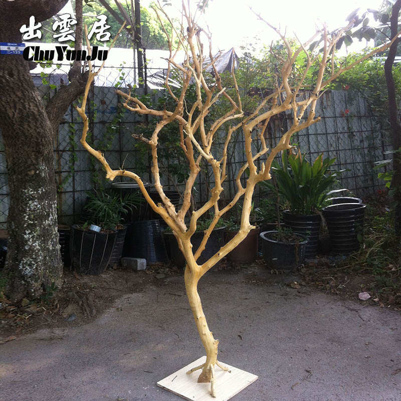去皮剥皮天然树枝 原色白树枝树杆枯树枝许愿树 道具挂件树装饰树