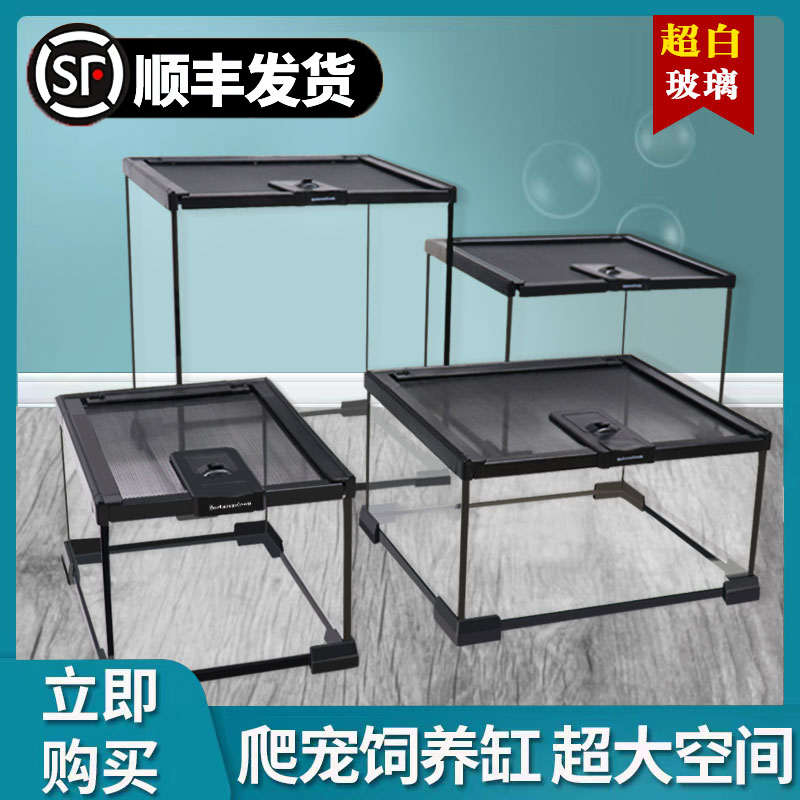 爬宠玻璃缸睫角守宫饲养箱鬃狮蜥蜴蛇角蛙树蛙蜘蛛爬虫生态雨林缸