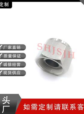SJ锈H厂家直销替代SHwagelok316不钢 SHJHS-1010-SP 卡套直通堵塞