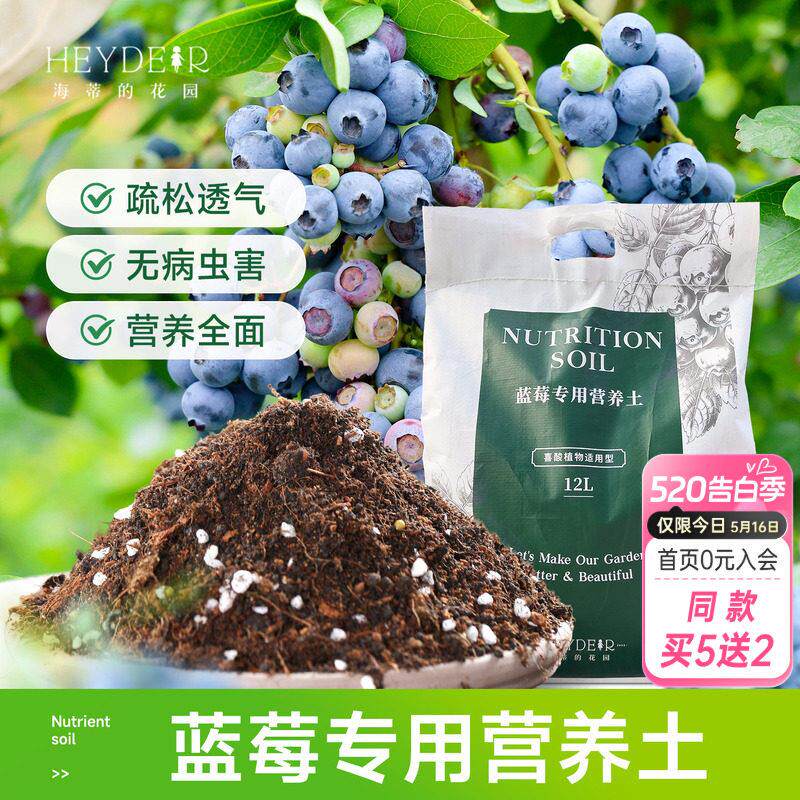海蒂的花园成都总店蓝莓专用土酸性营养土疏松透气种植海妈推荐