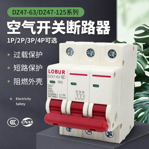 dz47 63空气开关断路器小型单p空开1P2P4P家庭用过载保护电闸100a