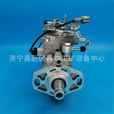 专业销售油泵总成104745-9980 1047459980