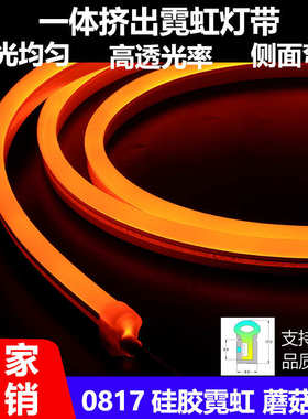 LED硅胶灯带1220 1616 2020一体挤出柔性户外防水硅胶霓虹灯带