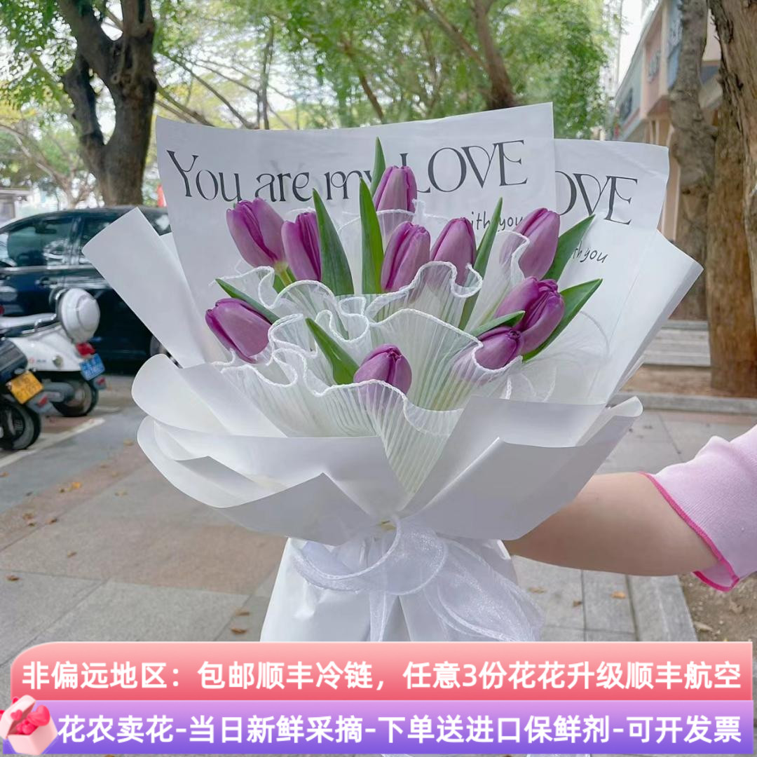 郁金香鲜花云南直发斗南基地花束花卉花花瓶插花鲜切花水养水培