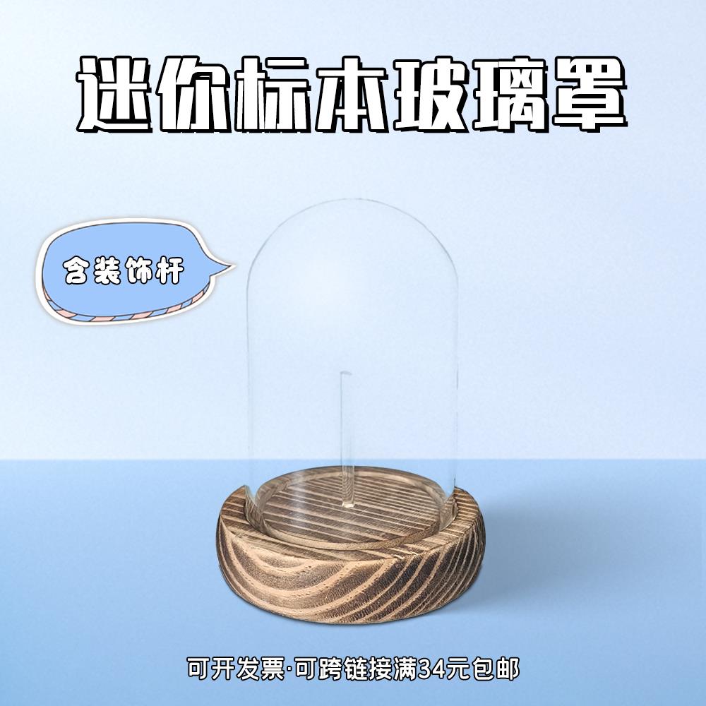 实木炭烧底座玻璃罩蝴蝶标本摆件小灰蝶生态装饰创意家居摆件含杆