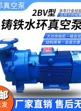 2BV铸铁水环式真空泵一体式泵无油负压机组系统循环水工业真空泵