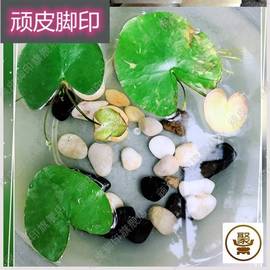 小号鹅蛋di彩石园艺用品，天然小石子用石头，铺面上架彩石头碗莲花盆