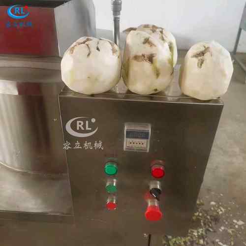 红薯削皮机商用芥菜疙瘩削皮设备全自动布留克削皮机