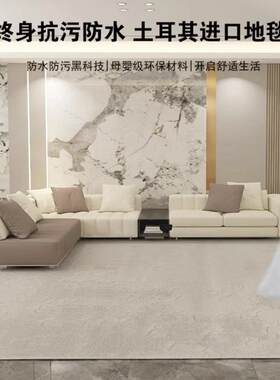 土耳其原装防水轻奢简约加厚家用客厅卧室耐脏地毯茶几沙发脚毯in