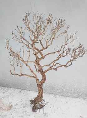 白色干枯树枝干枝许愿树枯树干霸王根造型树假树仿真树枝装饰树