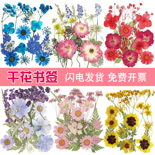 干花diy材料包永生花压花押花手工滴胶书签植物树叶标本叶脉干花