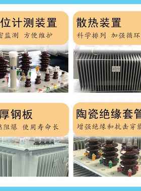 三相油浸式变压器1kvs20s13电力变0压器60kCXL1va1高压厂家s1-250