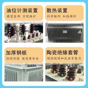 三相油浸式 250 变压器1kvs20s13电力变0压器60kCXL1va1高压厂家s1