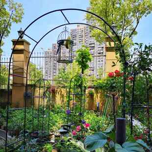 庭院铁艺葡萄引路架拱门花架蔷薇爬藤架子月季丝瓜拱形花支架阳台