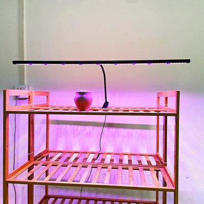 喜浪全光谱植物生长补光多肉灯家用上色防徒长花架夹子款定时绿植