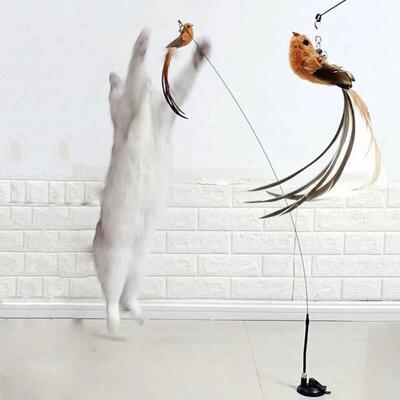 Suction Cup Cat Stick, Fixed Steel Wire, Long Pole, Feather