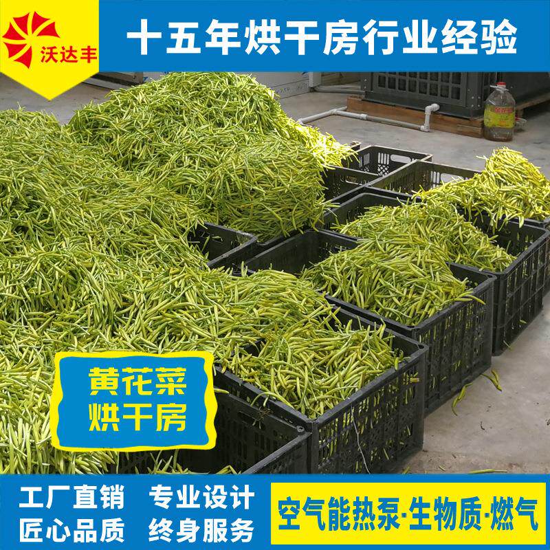 湖南厂家直供黄花菜烘干房黄花菜烘干箱烤房萱草烘干机热风烘干