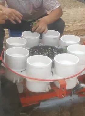 新型栽秧机多用辣椒苗移栽器定做多行移苗器桃树苗定植机