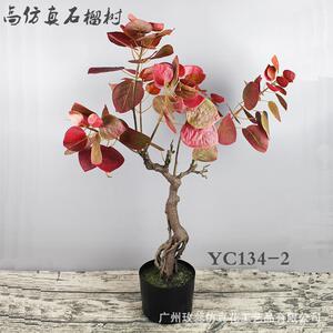 石榴树落地仿真植物叶子绿植盆栽摄影道具家居装饰石榴叶盆景