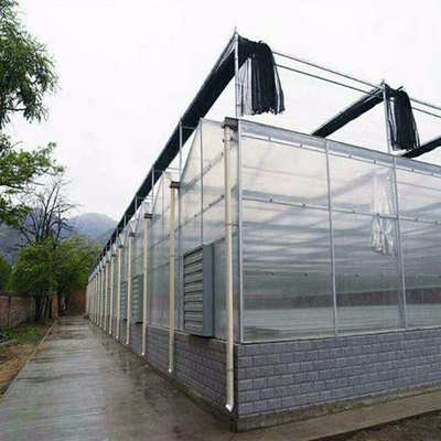 蔬菜大棚生态餐厅阳光板温室园林种植大棚工程建设阳光温室大棚