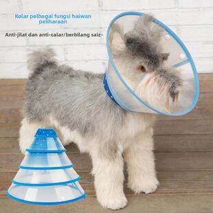 collar elizabethan neck recovery collars cone dog