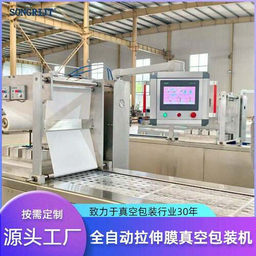 速冻丸子拉伸膜真空包装机红枣坚果年糕包装设备虾仁扇贝肉封口