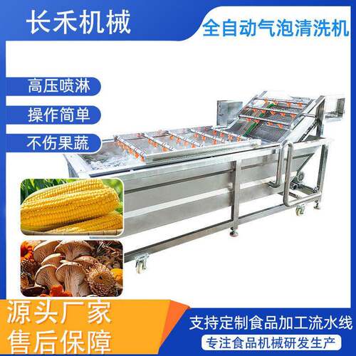 全自动果蔬气泡清洗机酱菜料包清洗机商用压喷淋洗菜机