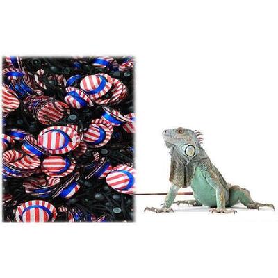 Bearded Dragon Independence Day Costume Holiday Dress Up