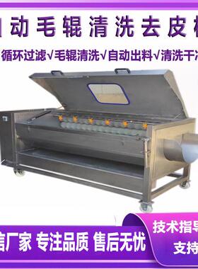 材天麻黄精毛辊清洗机 红薯芋头毛辊清洗去皮机 果蔬加工设备