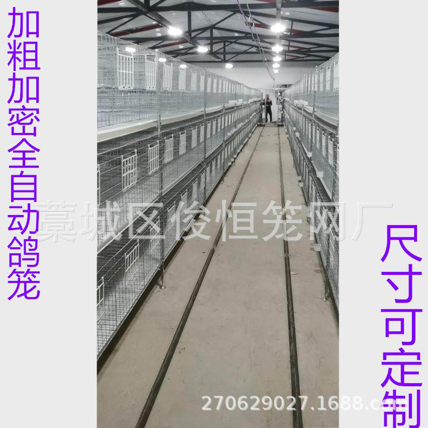 鸽子笼工厂生产养殖场专用鸽子笼子养殖笼量大优惠