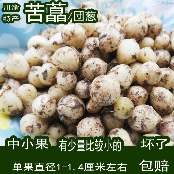 农家苦藠川渝特产团葱苦茭苦叫小蒜苦交教头野葱头薤白半野生种植