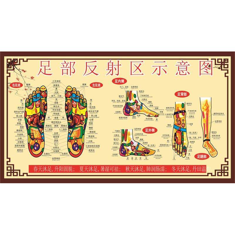 足部反射区示意图海报展板足疗示意图足部穴位图挂图装饰画