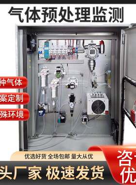 有毒废气TVOC温烟气分析报警仪氮氧化物气体在线监测预处理系统