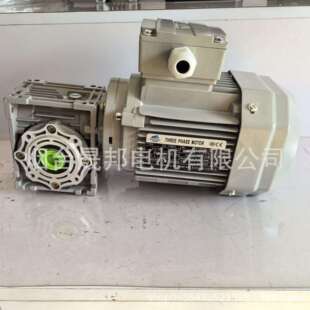 浙江三凯RV铝壳蜗轮蜗杆减速机NMRV040 YE371M3 0.55KW B14
