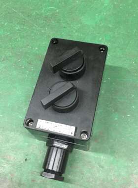 厂家供应防爆开关16a ZXF8050-K1/K2防爆防腐主令控制器 照明k