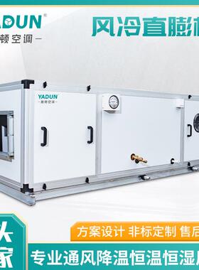 雅顿厂家直供风冷直膨式空调机组一体式恒温恒湿空调商用冷暖空调