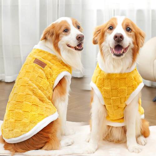 宠物衣服衣服秋冬新品毛绒雨衣