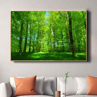 阳光大森林绿色护眼树林绿草地大自然风景画铝合金框装饰画树木画