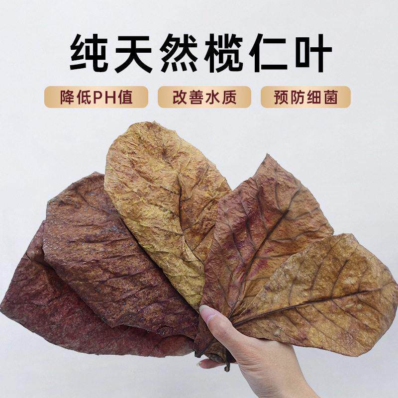 水族鱼缸榄仁叶鱼缸造景降酸PH值调节剂水质水族液态乌龟榄叶斗鱼