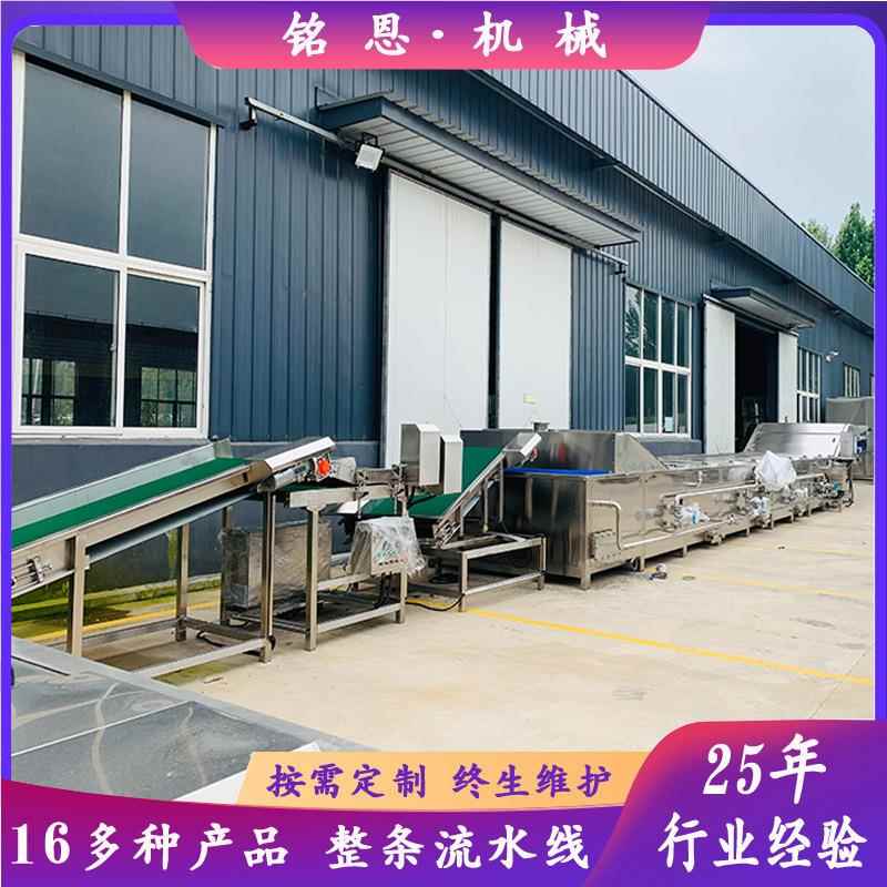 辣辣皮整形机 片大包机竹笋整形器 杀整形菌流水线整形机源头厂家