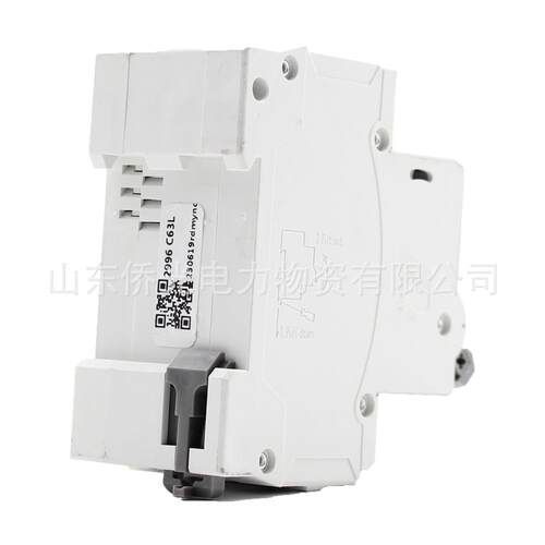 人民电器漏电保护器RDB5LE-63Y2P63A一体式漏电开关NXBLE-63Y