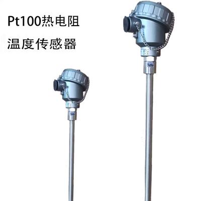 WZP-130双芯热电阻WZGPK-73MTHPT100Φ12l750mm50-420℃