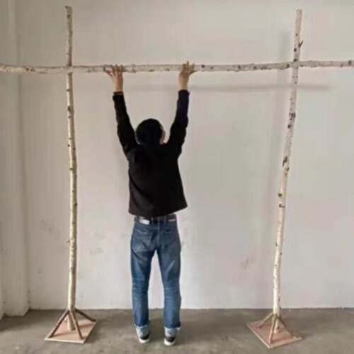 白桦树干枝新款森系婚庆拱门花门架子婚礼拍摄花艺插花培训道具树