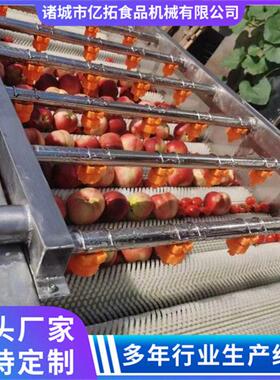 亿拓食品机械全自动食品级清洗设备蔬菜清洗机运行稳定效
