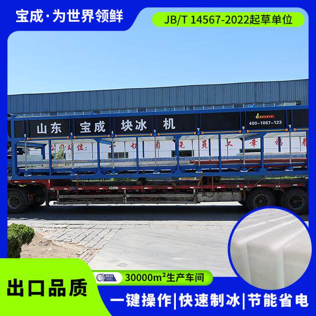 宝成全自动直冷式冰块机大型块冰机大冰块制冰机制冰机器商用